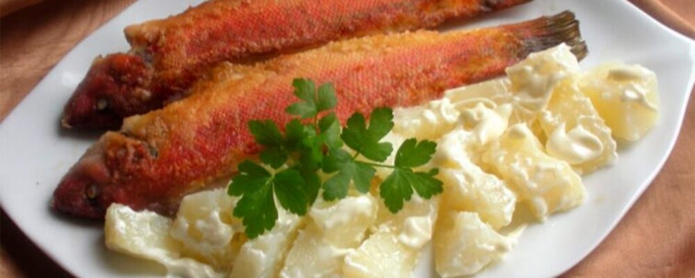 cocina-amazonia-01