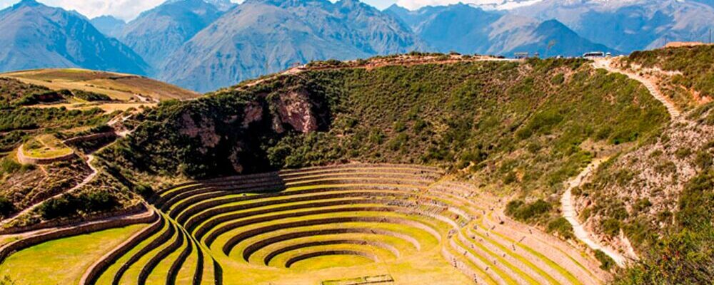 moray